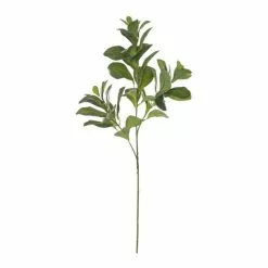 Rogue Lush Leaf Spray