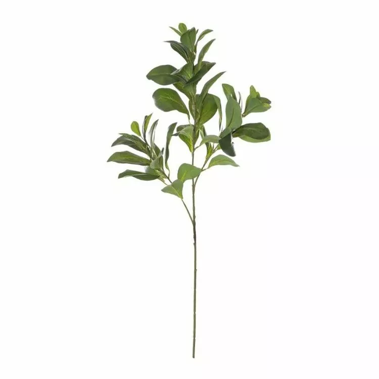 Rogue Lush Leaf Spray 3 Rogue Lush Leaf Spray