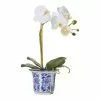 Rogue Butterfly Orchid In ChInoiserie Pot 2 Rogue Butterfly Orchid In ChInoiserie Pot -Bed Linen store SP 609300