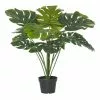 Rogue Monstera Plant In Garden Pot 2 Rogue Monstera Plant In Garden Pot -Bed Linen store SP 612107