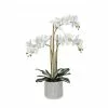 Rogue White Orchid In Ceramic Pot 2 Rogue White Orchid In Ceramic Pot -Bed Linen store SP 613854