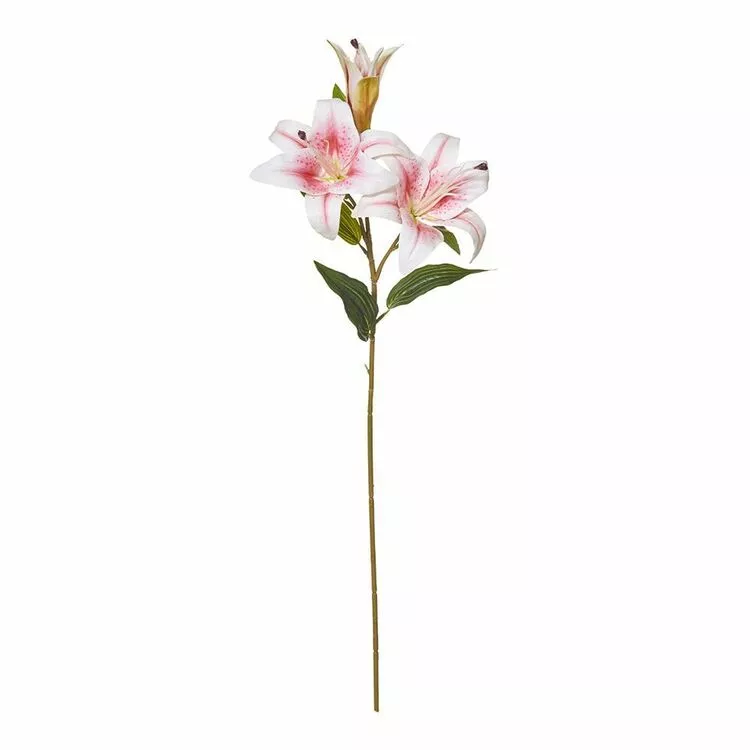 Rogue Lily Spray Stem Pink 3 Rogue Lily Spray Stem Pink