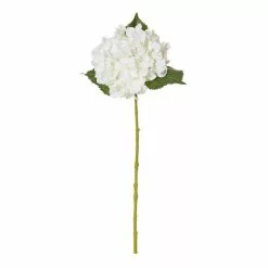 Rogue Hydrangea Stem White