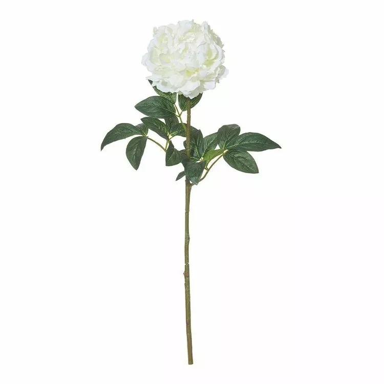 Rogue Peony Stem White 3 Rogue Peony Stem White