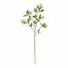 Rogue Seeding Spray Stem Green 2 Rogue Seeding Spray Stem Green -Bed Linen store SP 617243