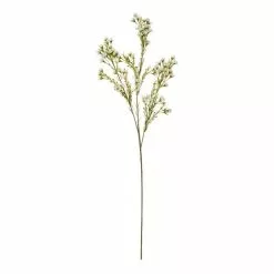Rogue Wax Flower Stem White