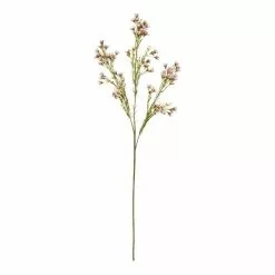 Rogue Wax Flower Stem Pink