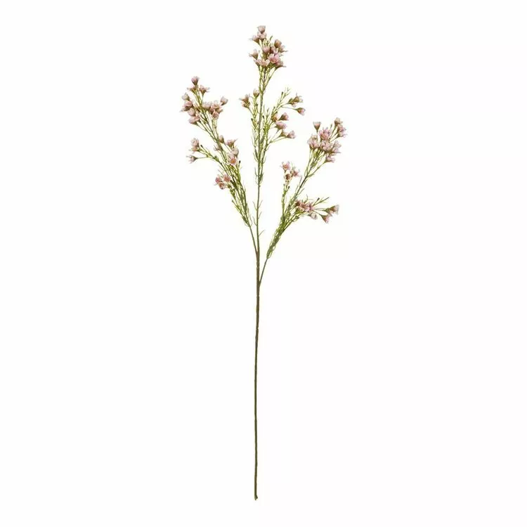 Rogue Wax Flower Stem Pink 3 Rogue Wax Flower Stem Pink