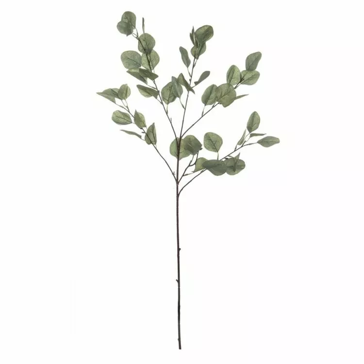 Rogue Eucalyptus Stem 3 Rogue Eucalyptus Stem