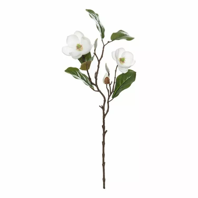 Rogue Chinese Magnolia Spray White 25 X15 X 51cm 3 Rogue Chinese Magnolia Spray White 25 X15 X 51cm