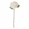 Rogue Hydrangea Stem Dusty Ivory 26 X 23 X 66cm 2 Rogue Hydrangea Stem Dusty Ivory 26 X 23 X 66cm -Bed Linen store SP 632467