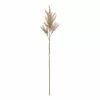 Rogue Astilbe Stem Brown 16 X 14x 82cm