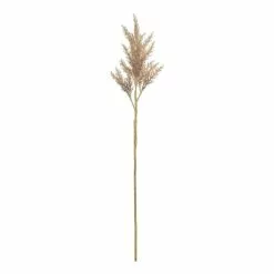 Rogue Astilbe Stem Brown 16 X 14x 82cm