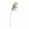 Rogue Pampas Grass Spray Beige 15 X 9 X 92 Cm 2 Rogue Pampas Grass Spray Beige 15 X 9 X 92 Cm -Bed Linen store SP 632483