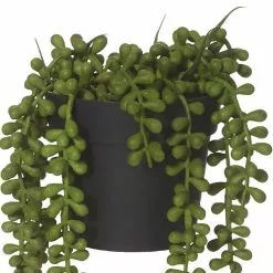 Rogue String Of Pearls Pot 14x23cm