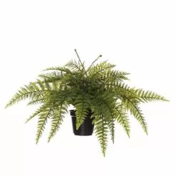 Rogue Ruffle Fern Pot 70x70x40cm