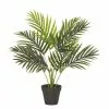 Rogue Areca Palm Pot 50x55cm 2 Rogue Areca Palm Pot 50x55cm -Bed Linen store SP 632546