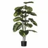 Rogue Pothos Plant Pot 2 Rogue Pothos Plant Pot -Bed Linen store SP 632554