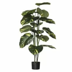 Rogue Pothos Plant Pot