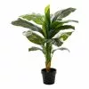 Rogue Giant Spathiphyllum Plant Garden Pot Green 60 X 60 X 100 Cm 1 Rogue Giant Spathiphyllum Plant Garden Pot Green 60 X 60 X 100 Cm -Bed Linen store SP 632560
