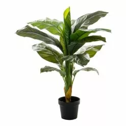 Rogue Giant Spathiphyllum Plant Garden Pot Green 60 X 60 X 100 Cm