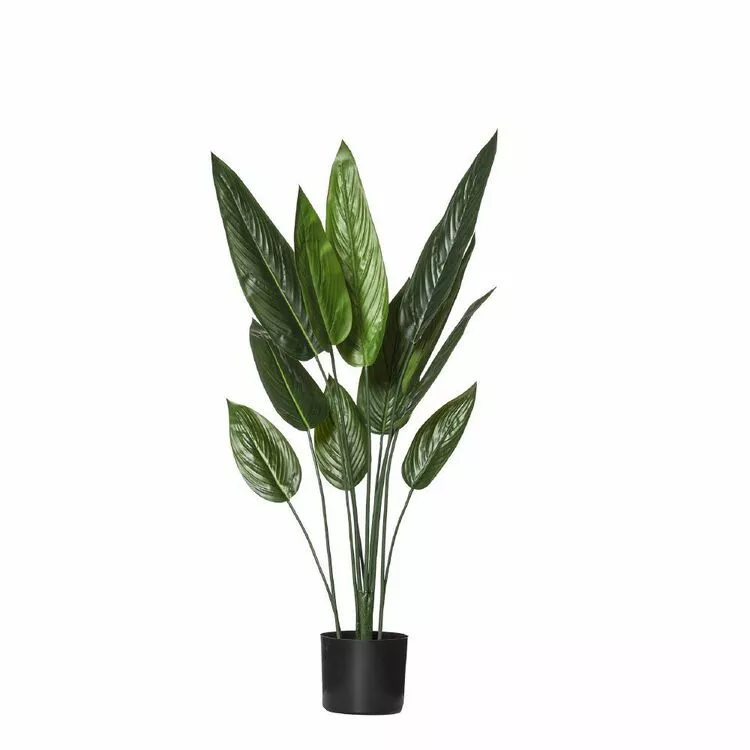Rogue Skybird Plant Pot 50 Cm 3 Rogue Skybird Plant Pot 50 Cm
