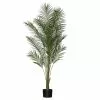 Rogue Areca Palm 150cm -Bed Linen store SP 632574
