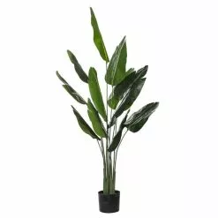 Rogue Bird Of Paradise Pot 140cm