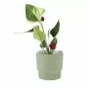 Linen House 10cm Planter Pot Rivera Mint 1 Linen House 10cm Planter Pot Rivera Mint -Bed Linen store SP 638454