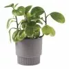 Linen House 13cm Planter Pot Rivera Violet