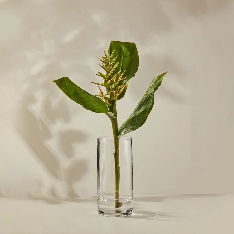 Casa Domani Moda Cylindrical Vase 25cm Gift Boxed 3 Casa Domani Moda Cylindrical Vase 25cm Gift Boxed