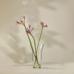 Casa Domani Moda Flared Vase 25cm Gift Boxed